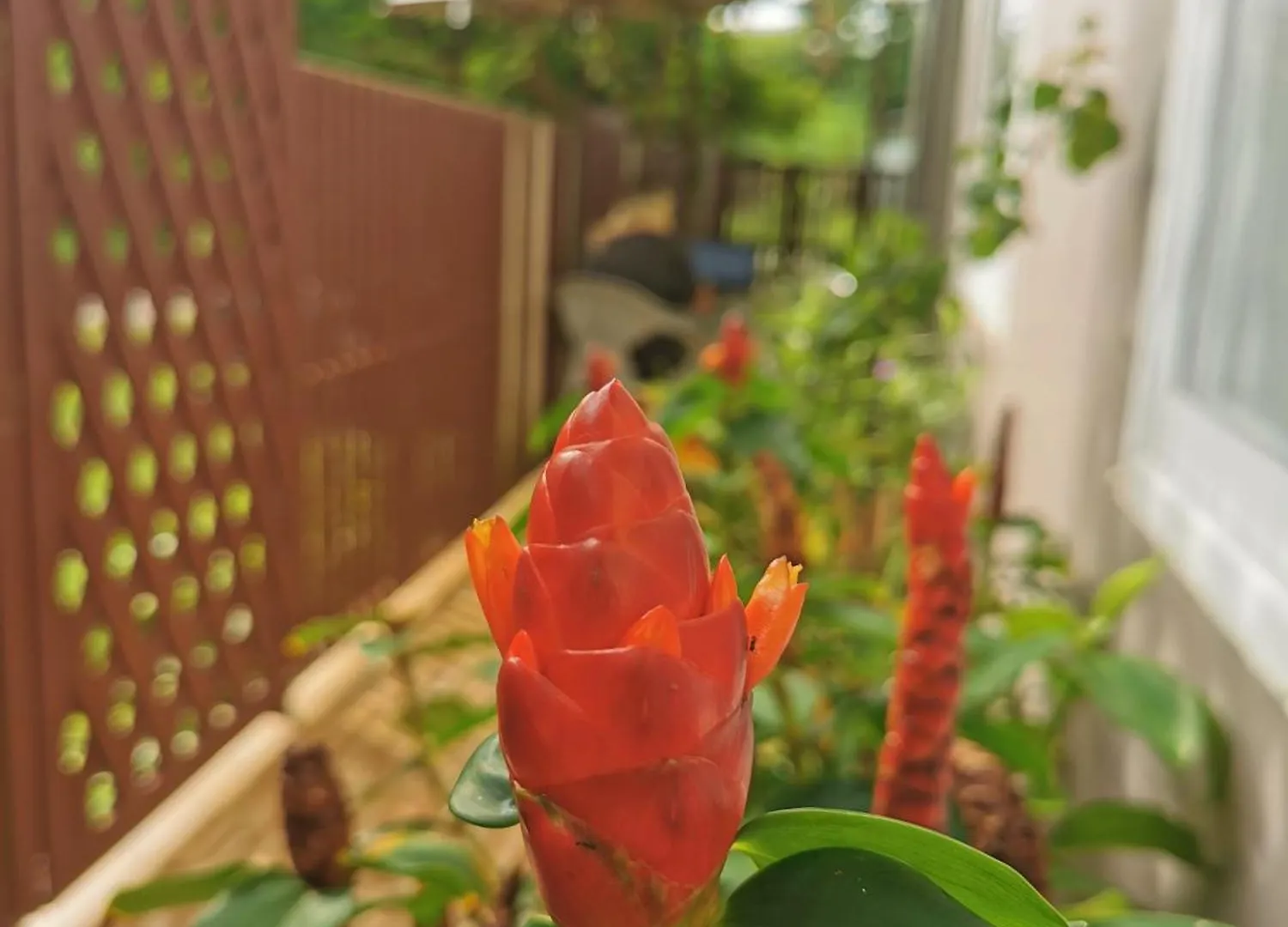 De​ Lanta Place Ko Lanta