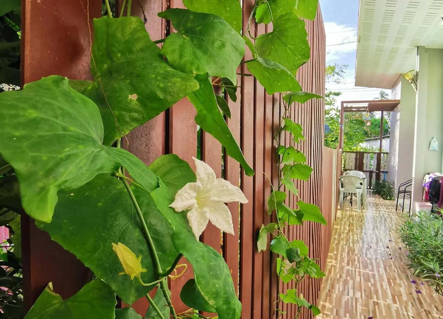 De​ Lanta Place Ko Lanta 2*,  Thailandia